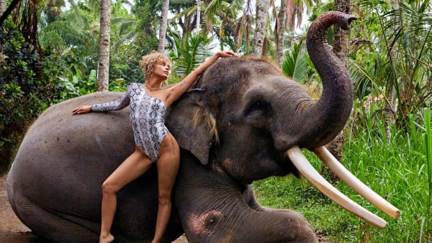 jasmineelephants2